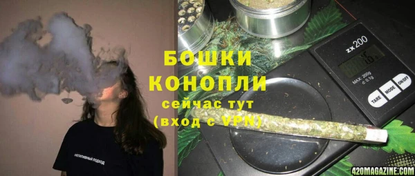 соль ск Новозыбков