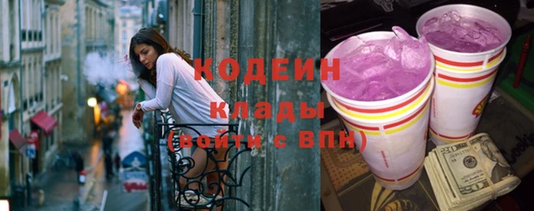 соль ск Новозыбков