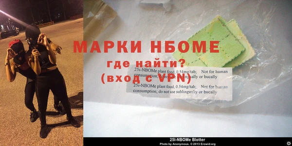 соль ск Новозыбков